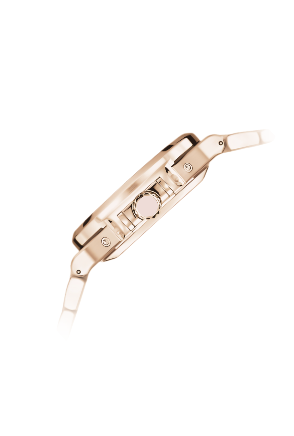 Nautilus | Black and Rose Gold