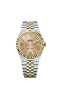 Two-Tone Gold Dial Land-Dweller