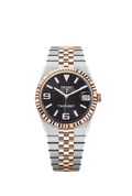 Two-Tone Rose-Gold Land-Dweller
