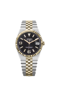 Two-Tone Gold Land-Dweller