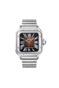Brown Ombré Dial Santos