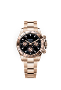 Rose-Gold Black Dial Daytona Chronograph